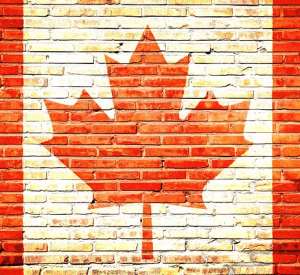 image_2024-12-26_175618766